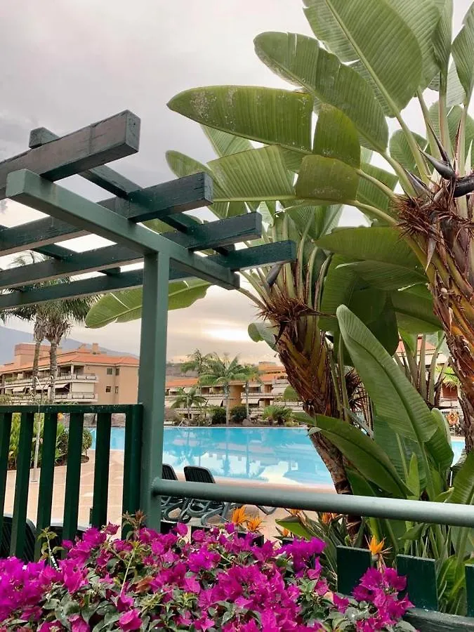 דירות Piso Jardines Del Teide En El Puerto De La Cruz