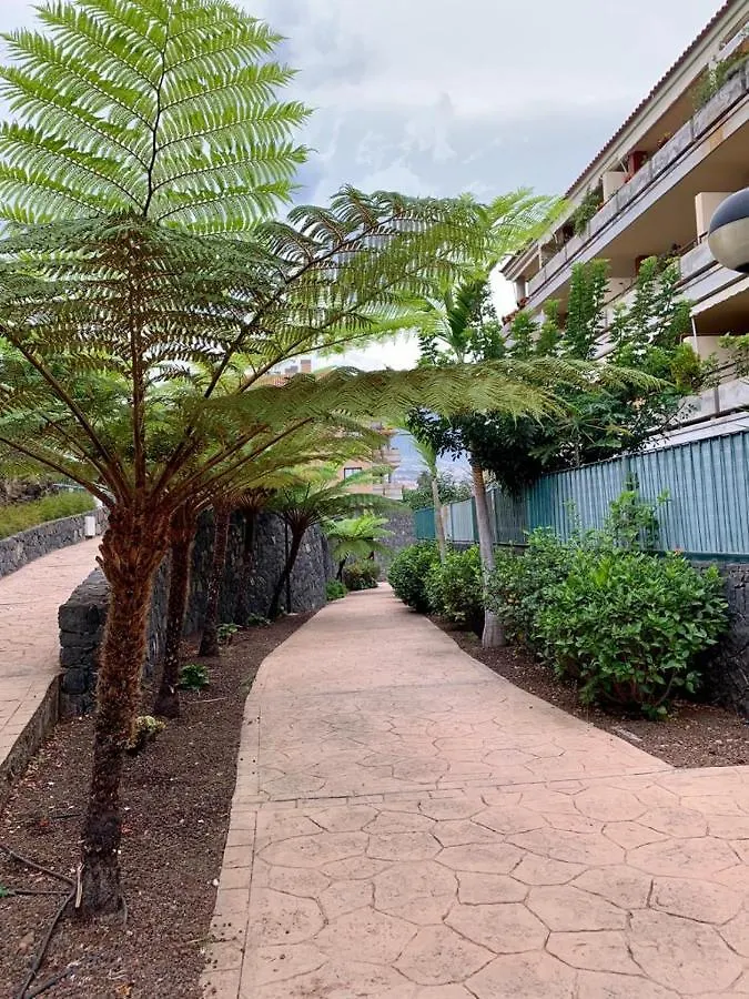 דירות Piso Jardines Del Teide En El Puerto De La Cruz  פוארטו דה לה קרוז